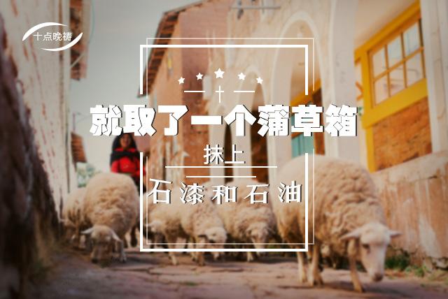 文章图片