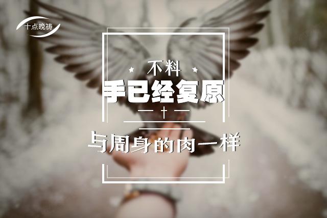 文章图片