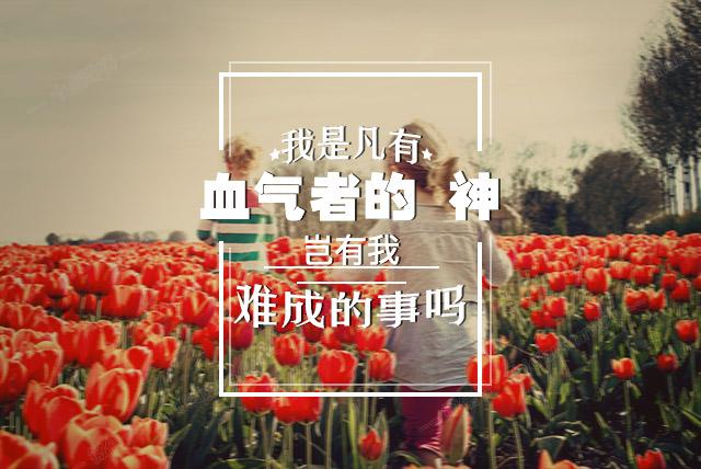 文章图片