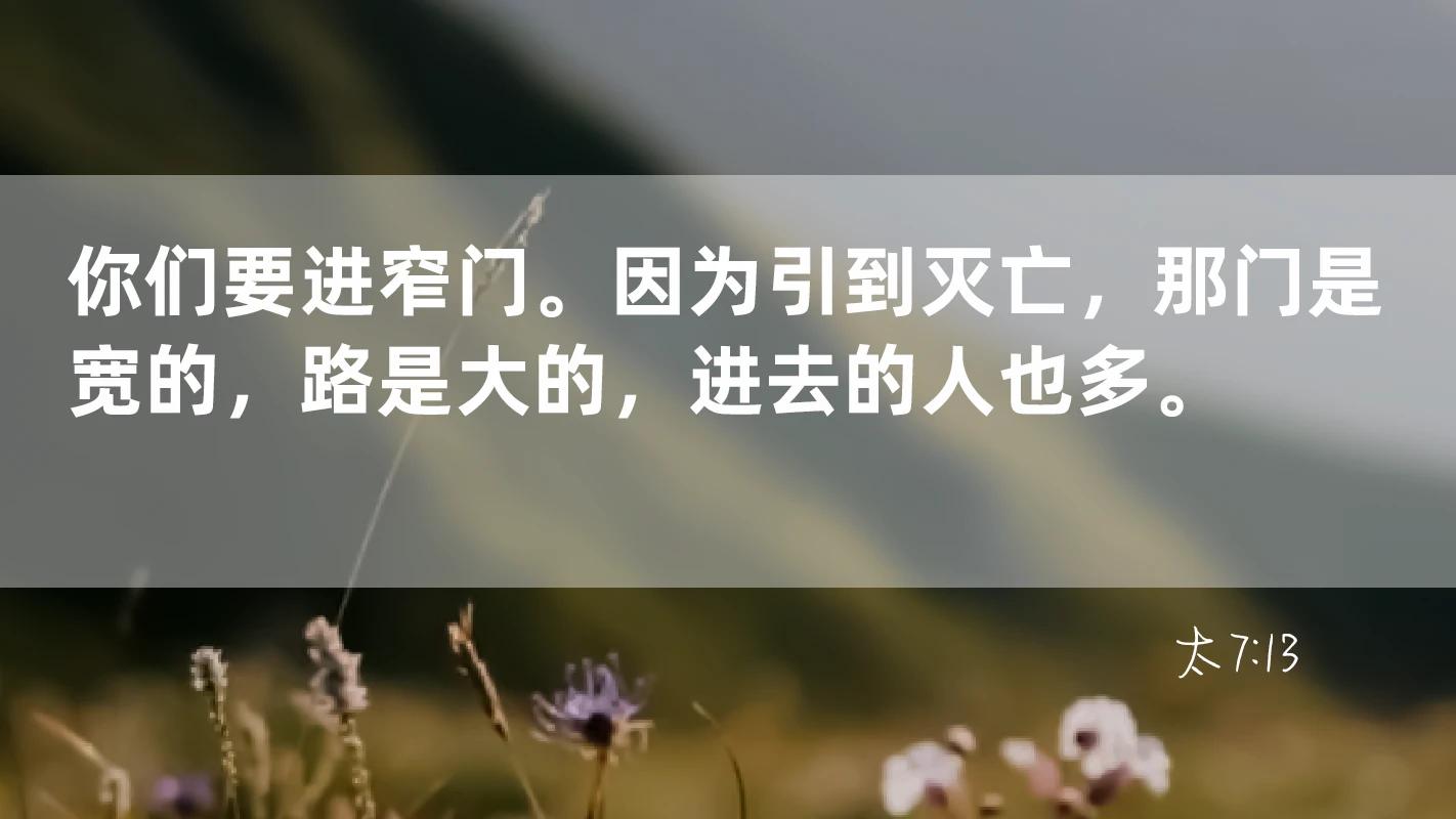 文章图片