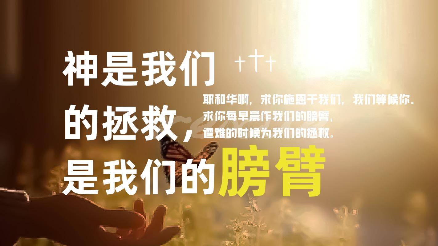 文章图片